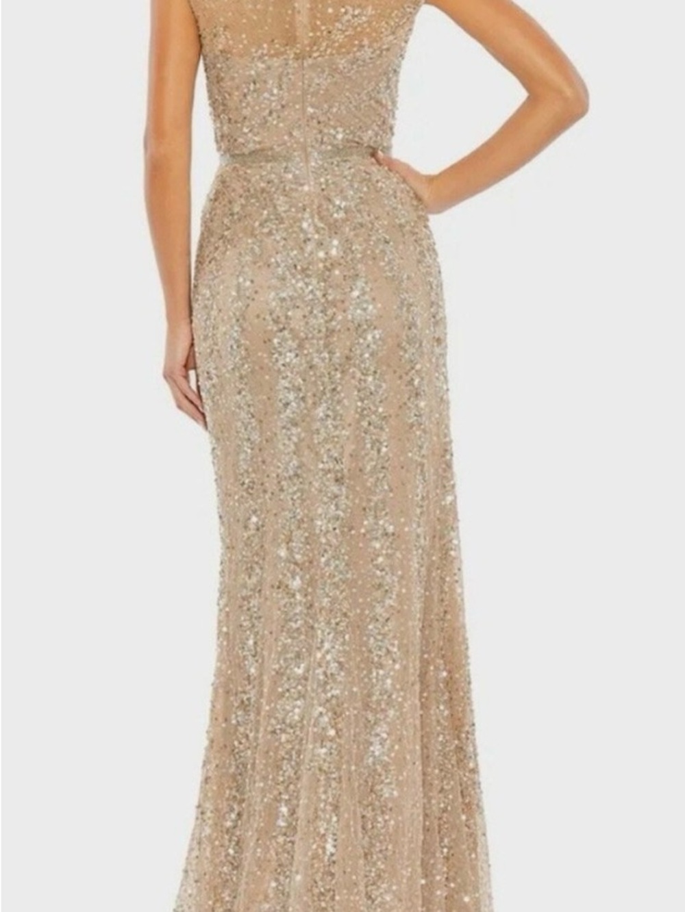 Gold/Nude Evening Gown